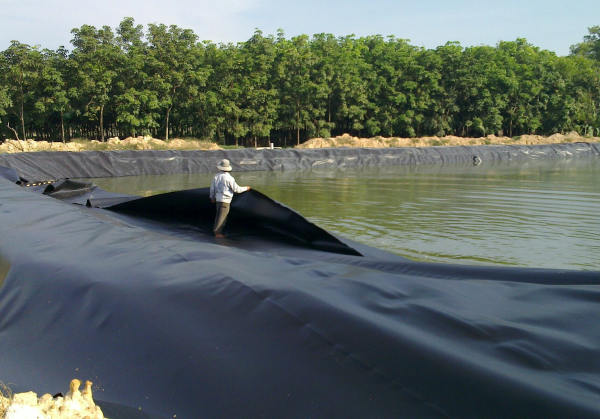 Màng Chống Thấm HDPE là gì