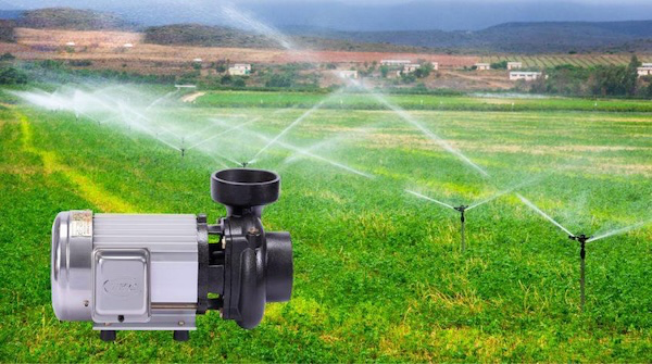 Vì sao máy bơm quyết định hiệu quả của hệ thống tưới bằng béc?