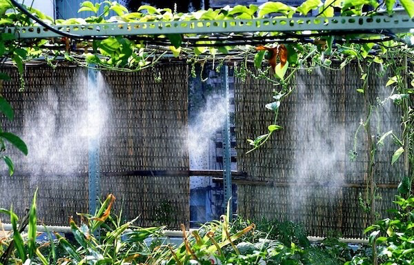 Cách sử dụng để hạn chế ẩm ướt